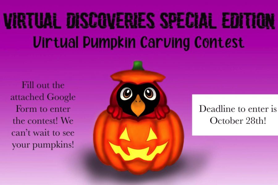 Virtual Discoveries Pumpkin Carving Contest