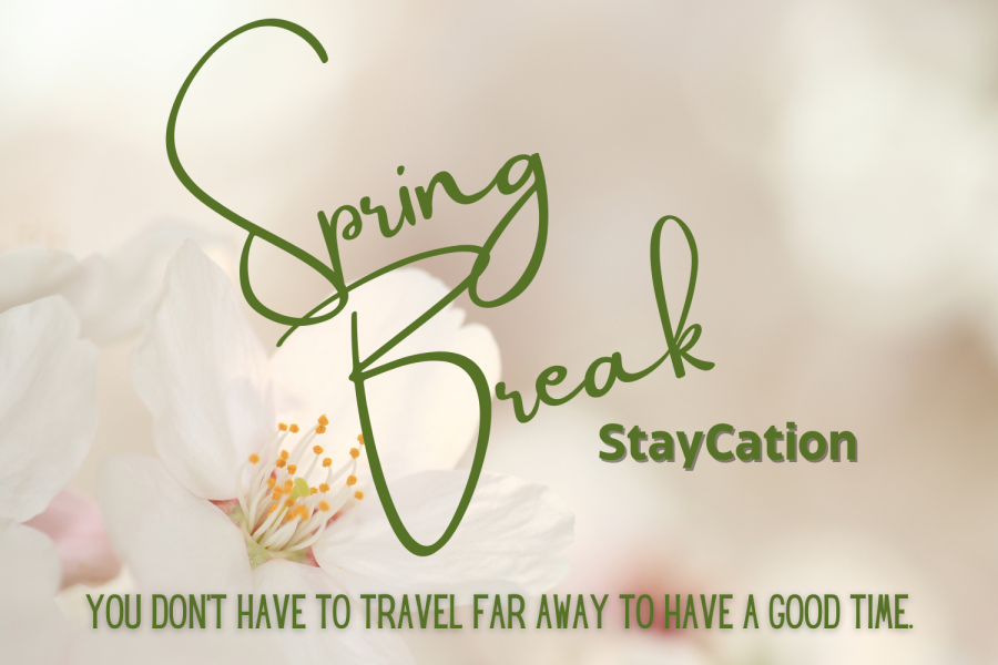 Bringing Spring Break to you