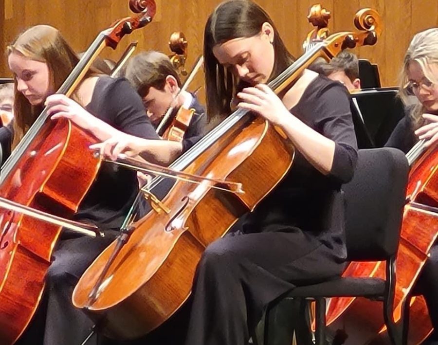 Junior Anna Wilson performed as concerto with the Central Kentucky Youth Orchestra.