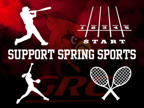 Six reasons to get out and support spring sports