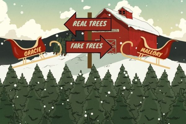 Head to Head: Real vs Fake Tree
