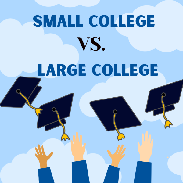 Large college vs small college: Which is best?