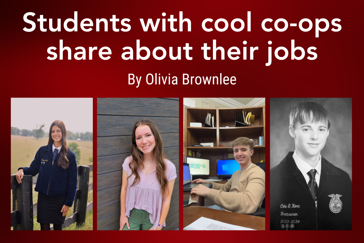 Students with cool co-ops share about their jobs