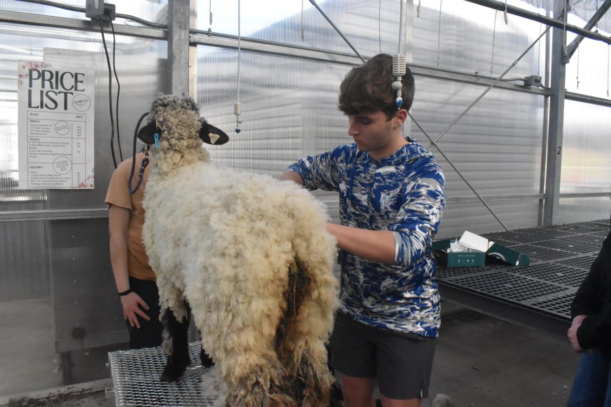 GRC's Animal Science Systems class paving new paths in agriculture education